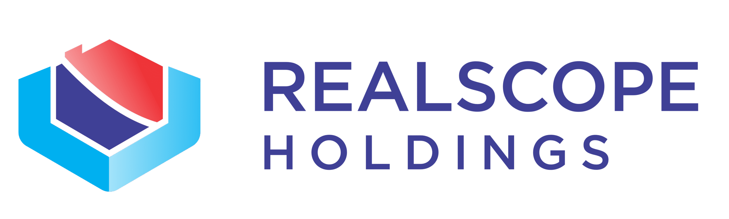 Real Scope Global